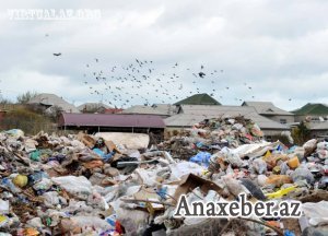 “Təmiz Binəqədi”nin zibili - illərlə davam edən savaş-FOTOLAR